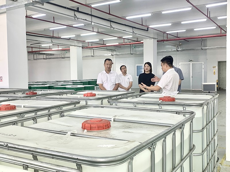 政企连心·共促发展|东莞市东城区政府领导莅临开云电竞新材参观指导